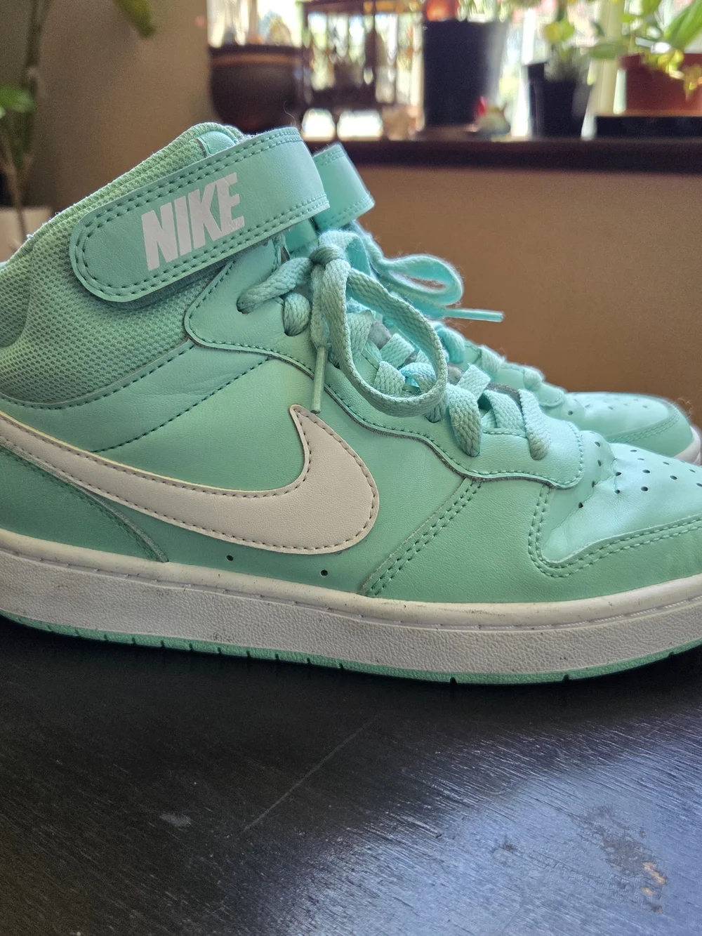 Nike High-Top Sneakers in Mint Green with White Swoosh
